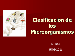 Clasificación de los Microorganismos
