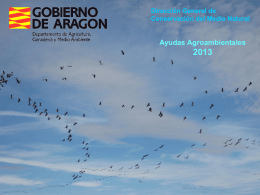 Diapositiva 1 - Gobierno de Aragón
