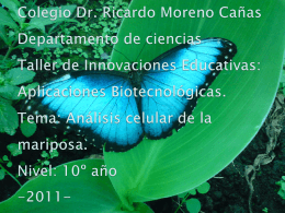Colegio Dr. Ricardo Moreno Cañas Departamento de