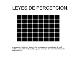 LEYES DE PERCEPCIÓN.