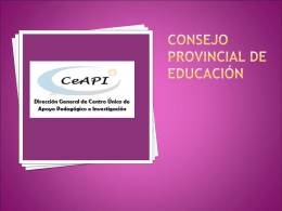 consejo provincial de educación ceAPI