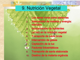 09. Nutrición vegetal
