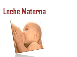 Leche Materna - Fisiología II Periodo 2013 FCM |