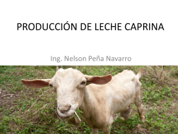 PRODUCCIÓN DE LECHE CAPRINA