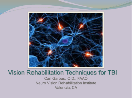 Vision Rehabilitation Strategies after TBI