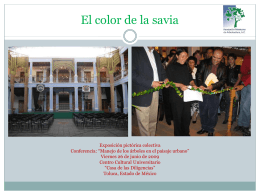 El color de la savia - AMA | Asociación Mexicana