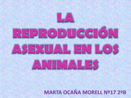 LA REPRODUCCIÓN ASEXUAL EN LOS ANIMALES