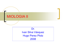 MIOLOGIA II - Kinesiología UST