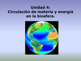 Unidad 4: Circulación de materia y energía en la