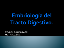 Embriología del Tracto Digestivo.