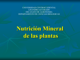 Nutrición Mineral - Mis Clases fisiologia vegetal