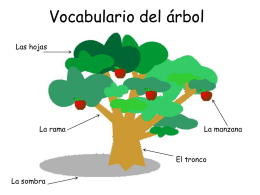 Vocabulario del árbol