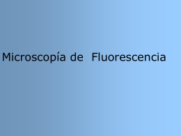 Microscopía de Fluorescencia.