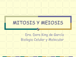 MEIOSIS - Juventud Médica