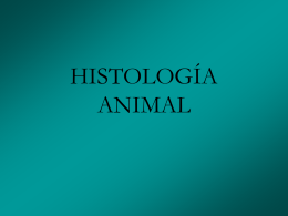 HISTOLOGÍA ANIMAL