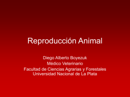 Reproducción Animal