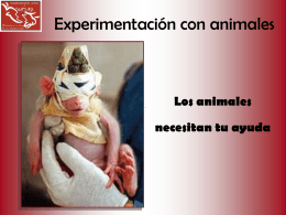 Experimentación con animales