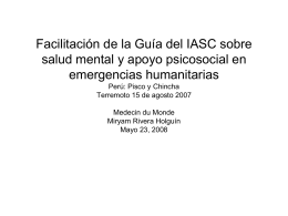 Facilitación de la Guía del IASC Perú: Pisco y