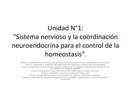 Unidad N°1: “Sistema nervioso y la coordinación