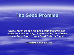 The Seed Promise - Church of Christ
