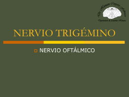 NERVIO TRIGÉMINO (PAR CRANEAL V)