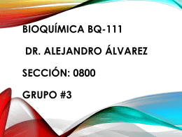 Bioquímica bq-111 Dr. Alejandro Álvarez Sección: