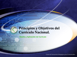 Principios y Objetivos de Currículo Nacional.