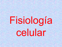 Fisiología celular - Tele Medicina de Tampico