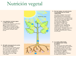 Nutrición vegetal - Ciencias de los alimentos