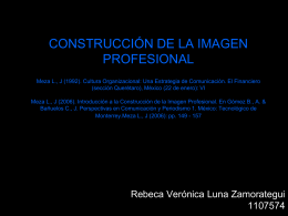 CONSTRUCCIÓN DE LA IMAGEN PROFESIONAL