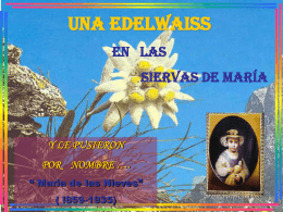 Diapositiva 1 - Siervas de María, al servicio de