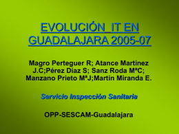 EVOLUCIÓN IT EN GUADALAJARA 2004-07
