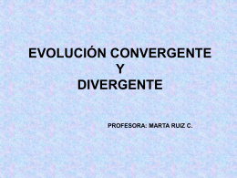 Evolución convergente - Liceo Javiera Carrera