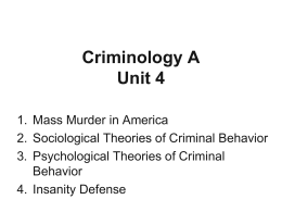 Sociological Theories of Criminal Behavior