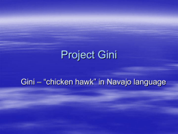 Project Gini - General Numerics LLC