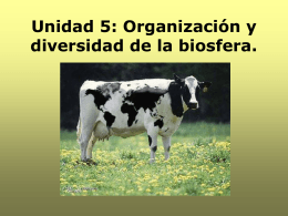 Unidad 5: Organización y diversidad de la