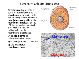 Citoplasma - COBACH en línea