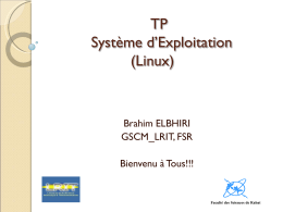 TP Système d’Exploitation (Linux)