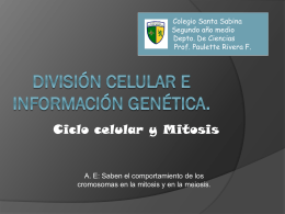 División celular e información genética.
