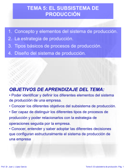 TEMA 5: EL SUBSISTEMA DE PRODUCCIÓN