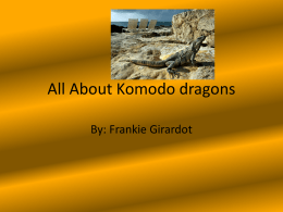 All About Komodo dragons
