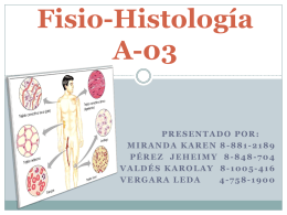 Fisio-Histología A-03