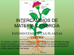 INTERCAMBIOS DE MATERIAY ENERGÍA