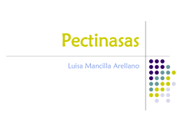 Pectinasas - Instituto de Biotecnología