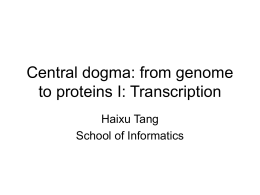 Central dogma: from genome to proteins