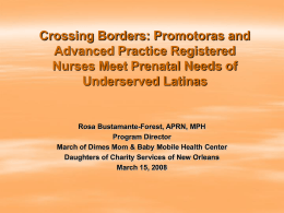 Crossing borders: Promotora and Advanced Practice