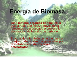 Energía de Biomasa.
