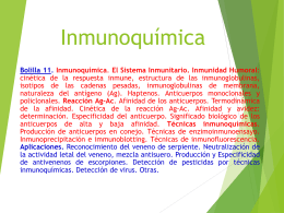 Inmunoquímica