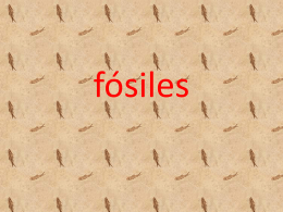 fósiles - Cienciasafa