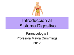 Introducción al Sistema Digestivo